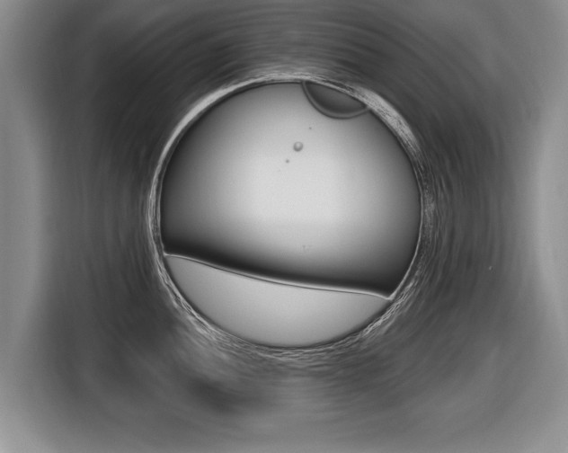 X0000116441052200912081349