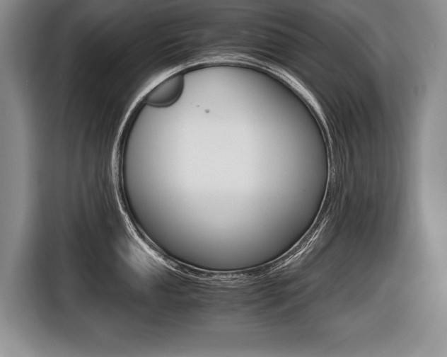 X0000116441053200912081349