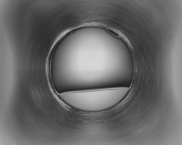 X0000116441054200912081349