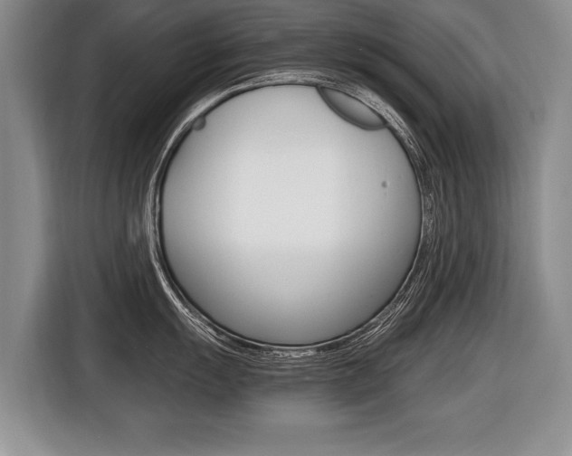 X0000116441055200912081349
