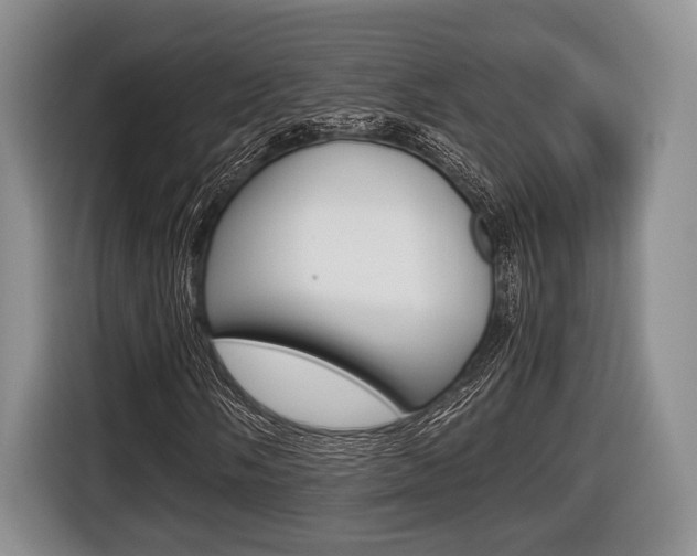 X0000116441058200912081348