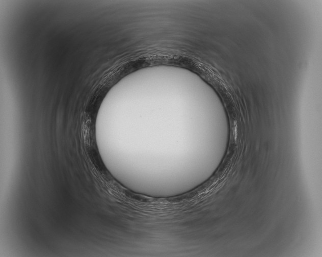X0000116441059200912081348