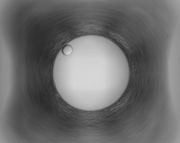 X0000116441060200912081348