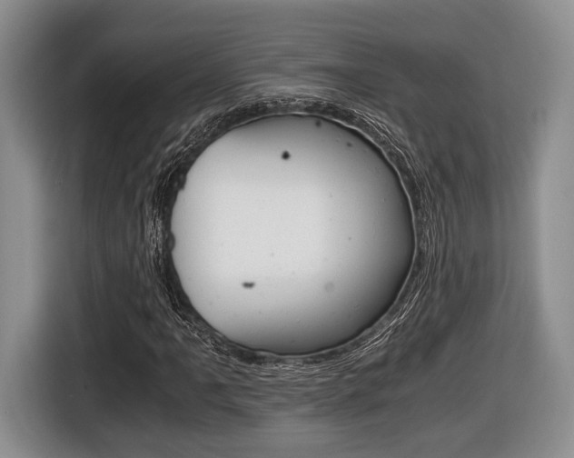 X0000116441061200912081348