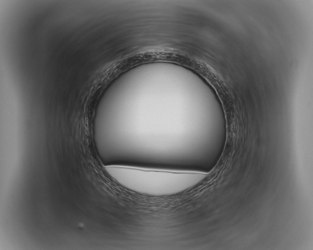 X0000116441062200912081348