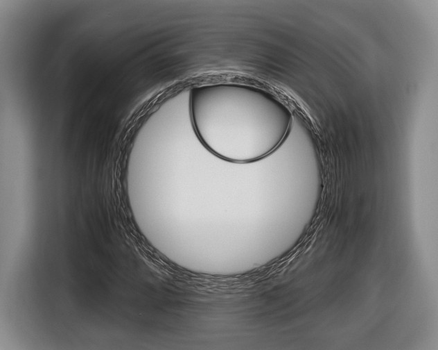 X0000116441064200912081348