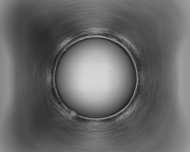 X0000116441065200912081348