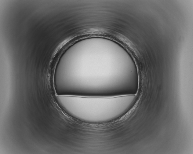X0000116441066200912081348