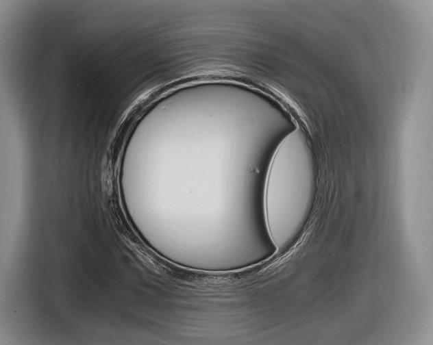 X0000116441067200912081348