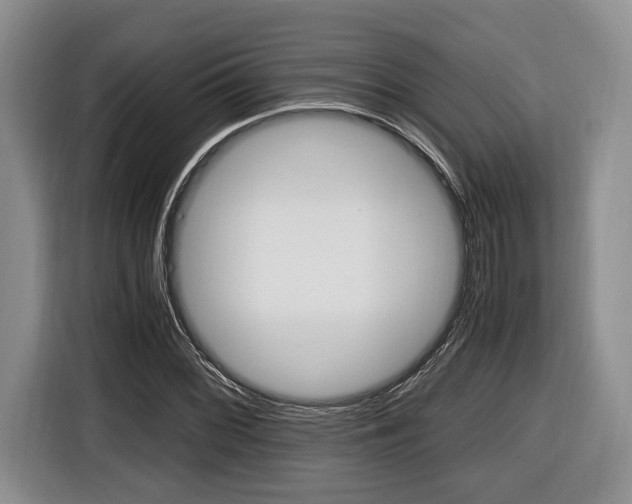 X0000116441068200912081348