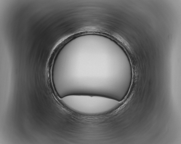 X0000116441070200912081348
