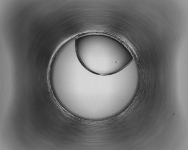 X0000116441072200912081348