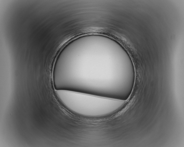 X0000116441073200912081348
