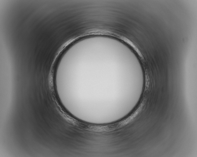 X0000116441074200912081348