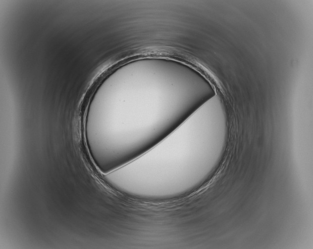 X0000116441075200912081348