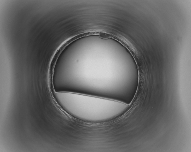 X0000116441076200912081348