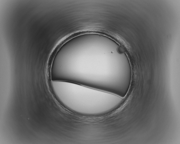 X0000116441077200912081348