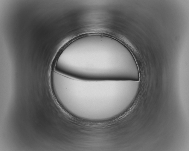 X0000116441079200912081348
