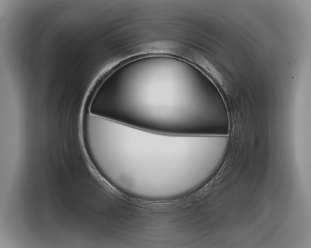 X0000116441080200912081348
