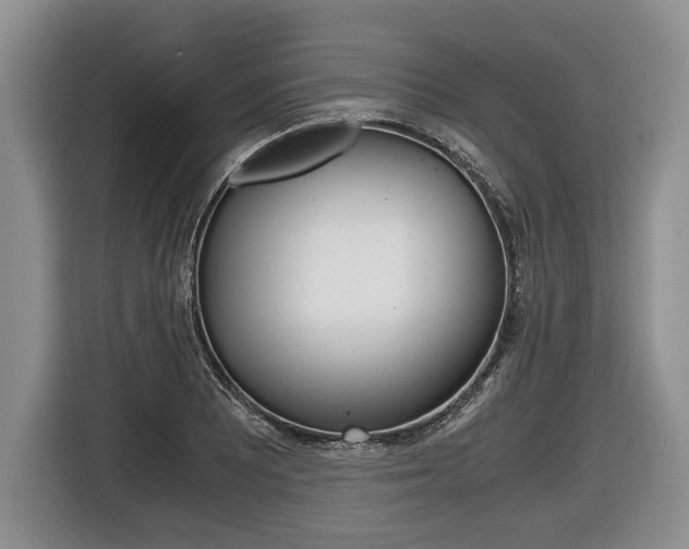 X0000116441081200912081348
