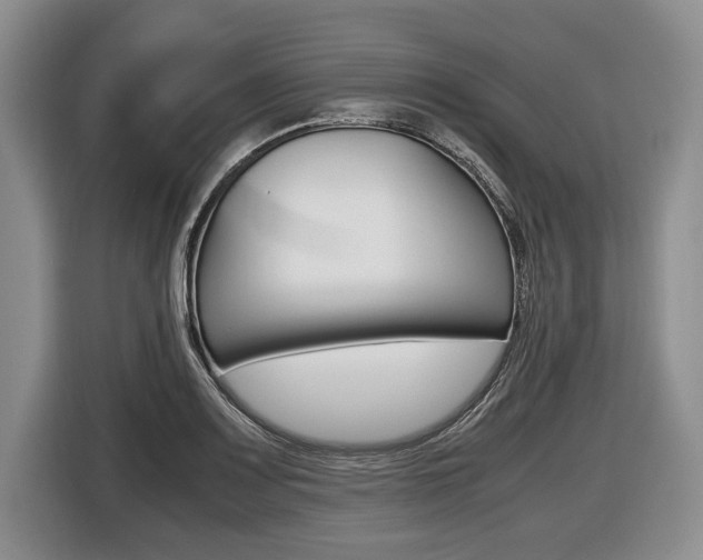 X0000116441083200912081348