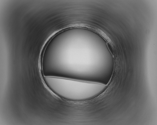 X0000116441084200912081348