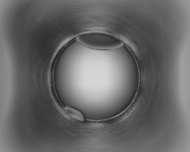 X0000116441085200912081348