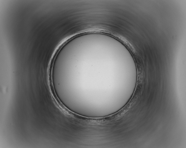 X0000116441086200912081348