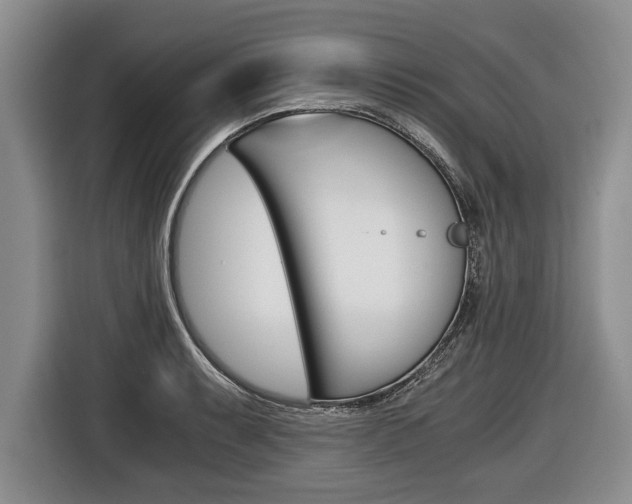X0000116441087200912081348