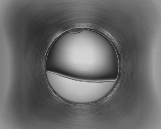 X0000116441089200912081348