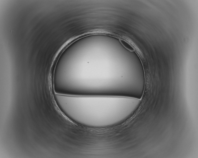 X0000116441092200912081348