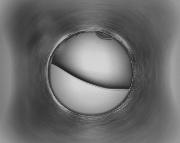 X0000116441095200912081348