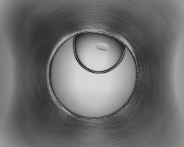 X0000116441096200912081348