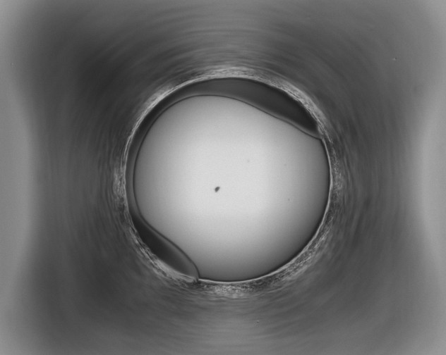 X0000116441097200912081348
