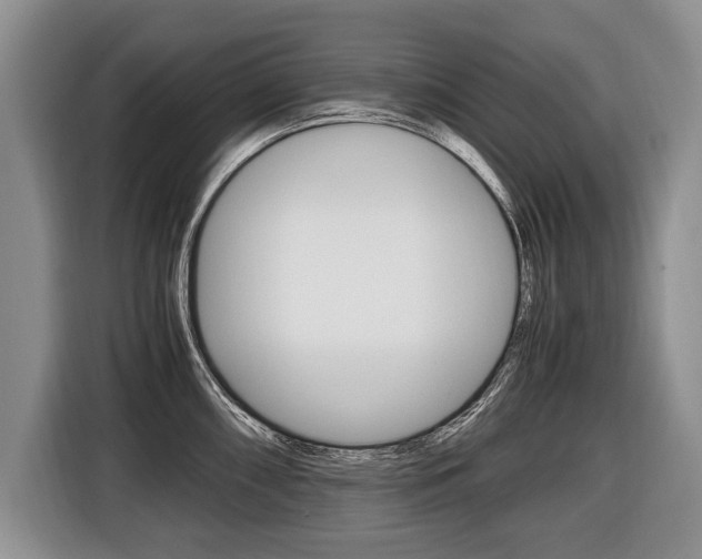 X0000116441098200912081348