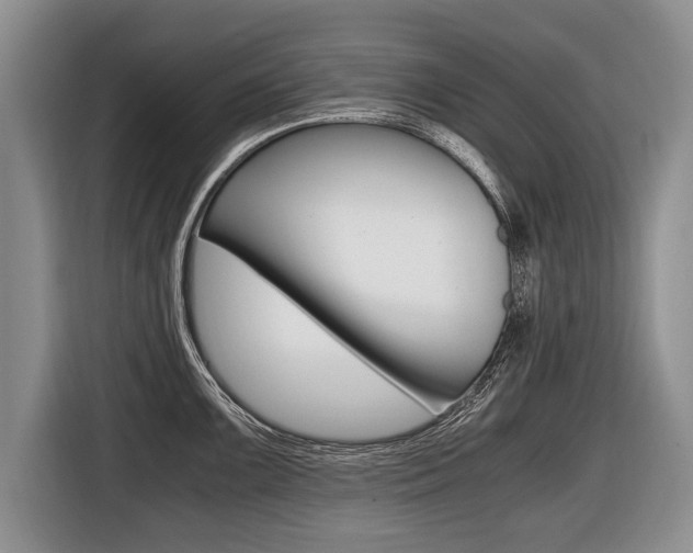 X0000116441099200912081348