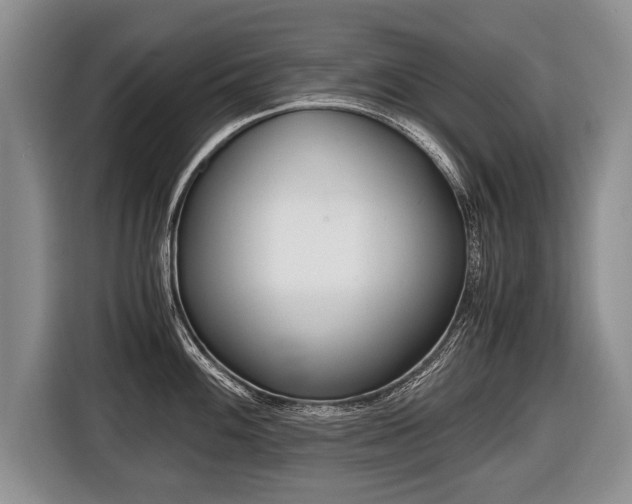 X0000116441100200912081348