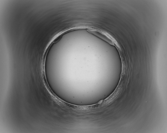 X0000116441101200912081348