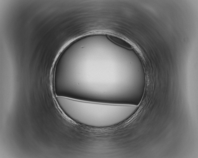 X0000116441102200912081348