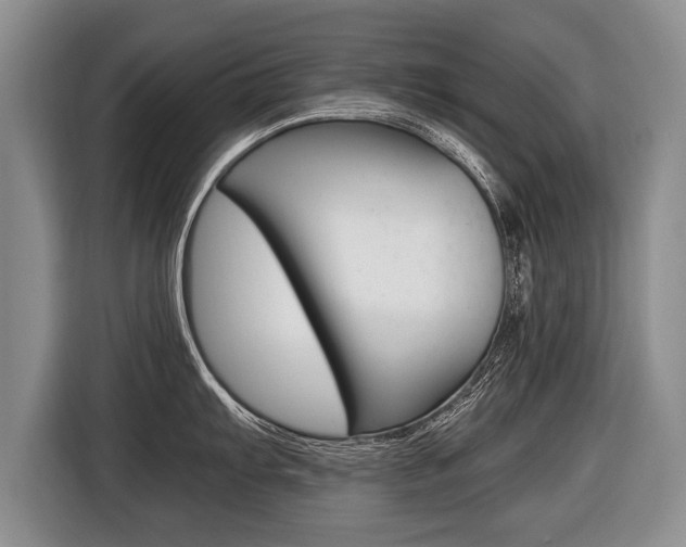 X0000116441103200912081348