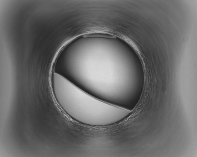 X0000116441104200912081348