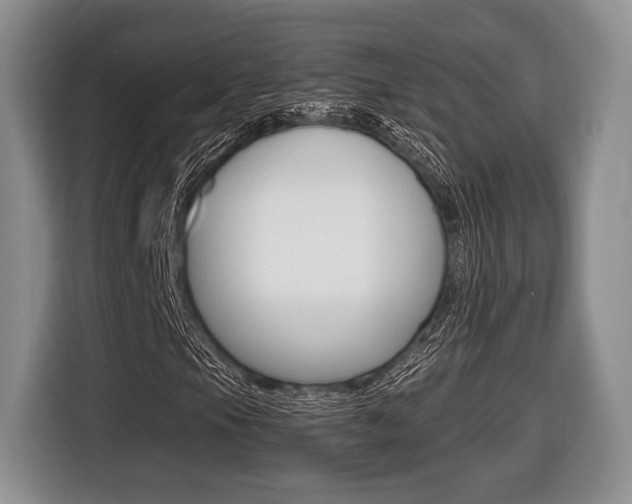 X0000116441105200912081347
