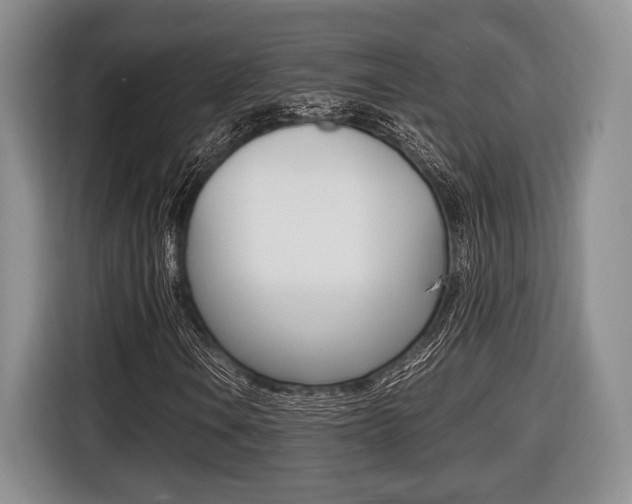 X0000116441106200912081347