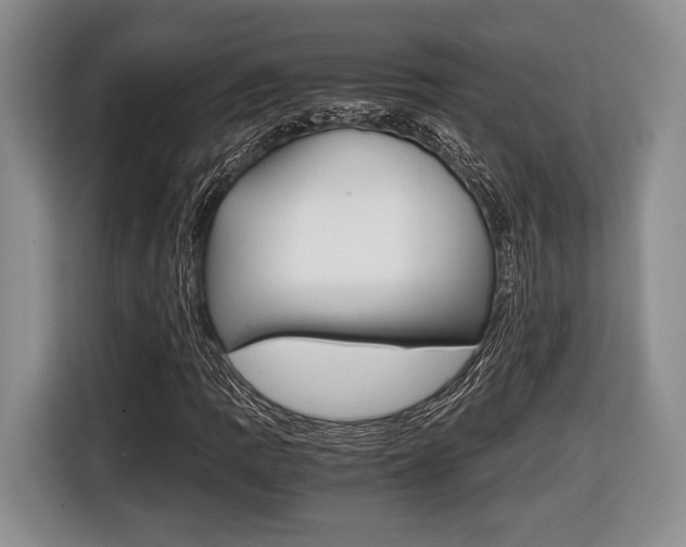 X0000116441109200912081347