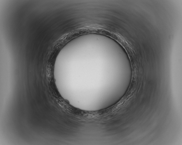 X0000116441110200912081347