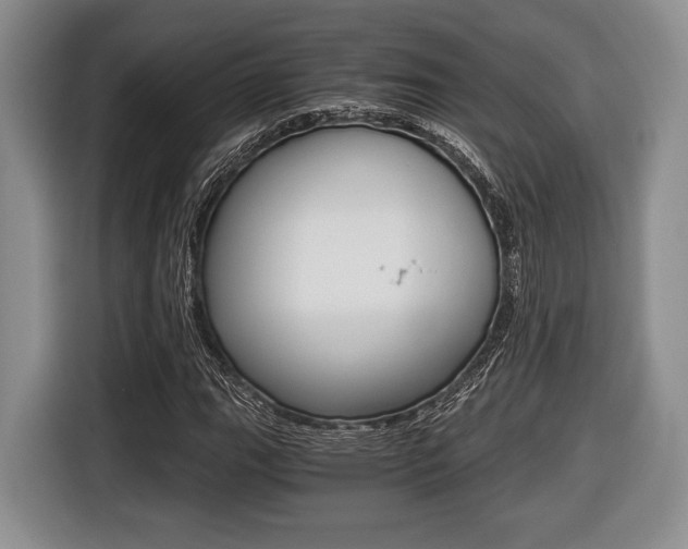 X0000116441111200912081347