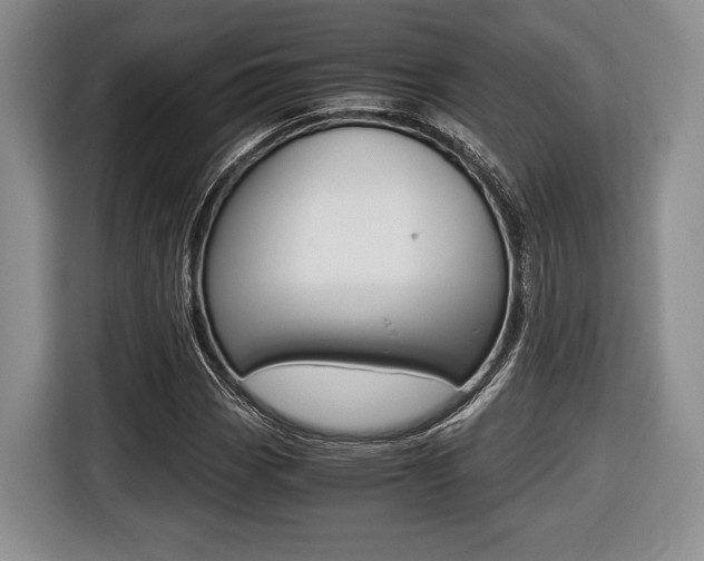 X0000116441113200912081347