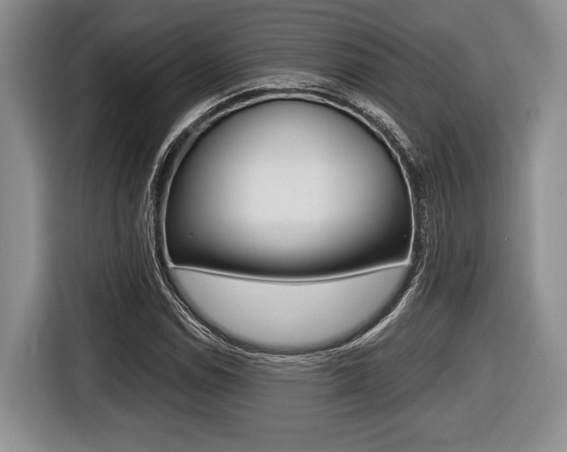 X0000116441114200912081347