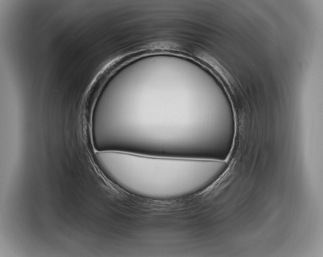 X0000116441115200912081347