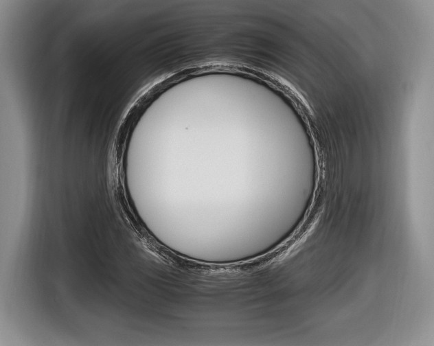 X0000116441117200912081347